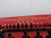 Summary of the Special Party Day Activities of the Party Branch of the Department of International Business