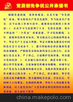 Sample letter of public commitment for party members and teachers to strive for excellence