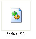 screenshot of packet.dll