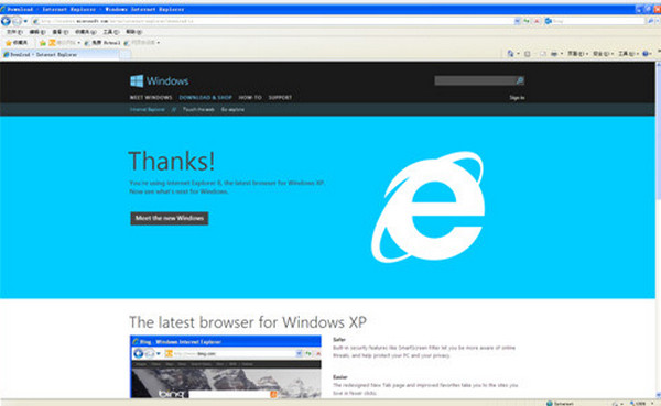 ie8.0 screenshot