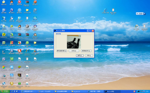 Image capture tool Purrint screenshot