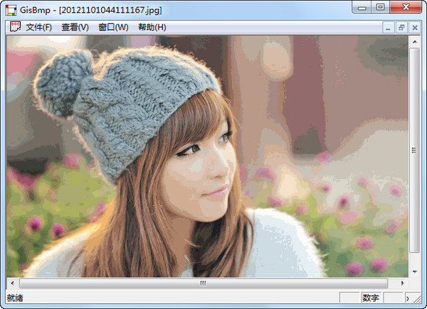 Screenshot of GisBmp image compression tool