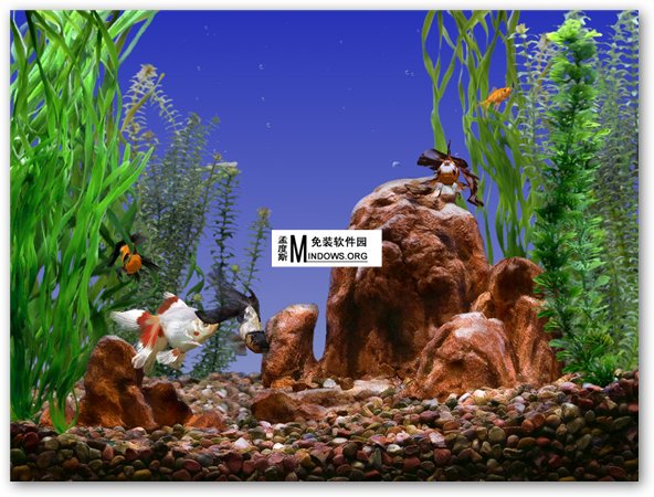 Beautiful computer screensaver