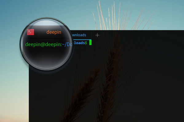 deepin terminal