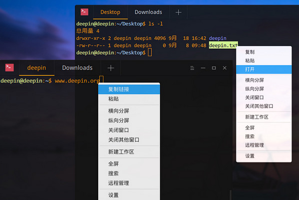 deepin terminal