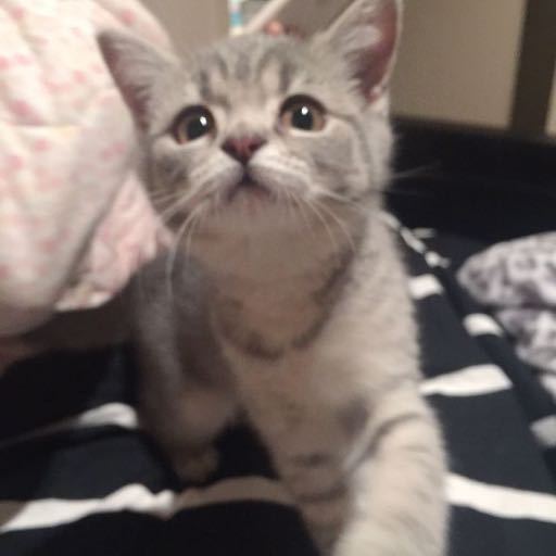 Dong dong dong ~ If you have new messages, please check them.