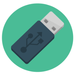 MP3 flash disk companion