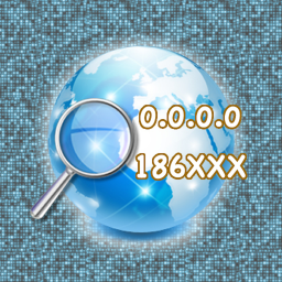 IP query tool segment first LOGO