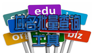 Domain name batch query tool